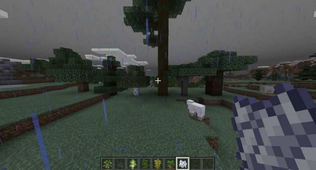 Minecraft Spruce Tree Far